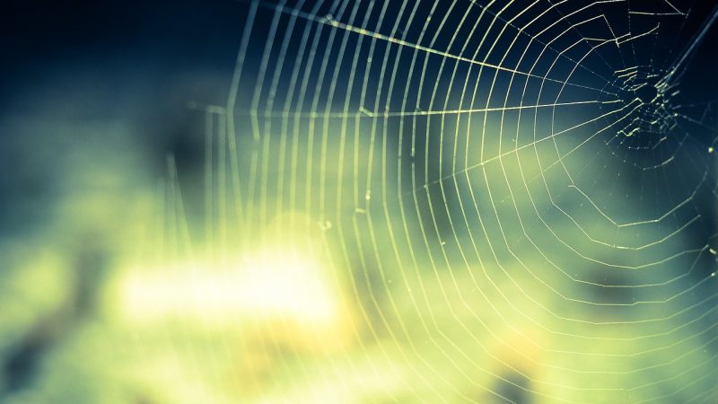 荔枝网 使用须知与版权说明：先把边界说清楚